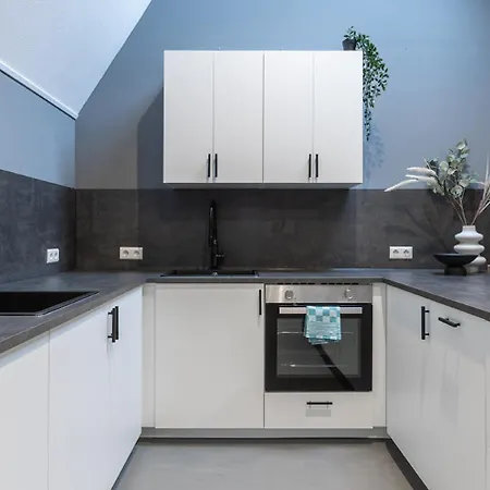 Lejlighed W Kitchen Acces,den Bosch- Oss, Near Train