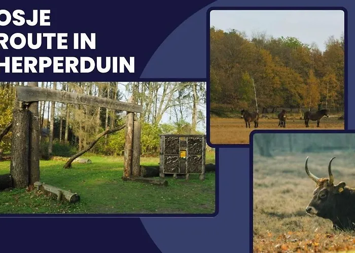 W Kitchen Acces,den Bosch- Oss, Near Train